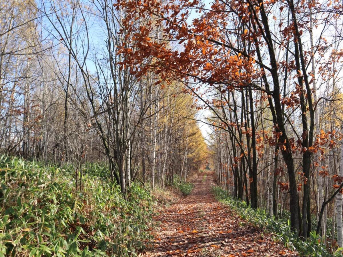 Вилла Maple Farm Асахикава Экстерьер фото